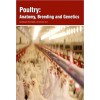 Poultry:  Anatomy, Breeding and Genetics